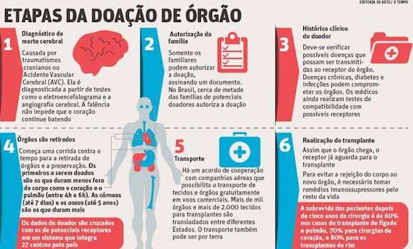 Doação De Órgãos Transplantes E Como Ser Doador 3729